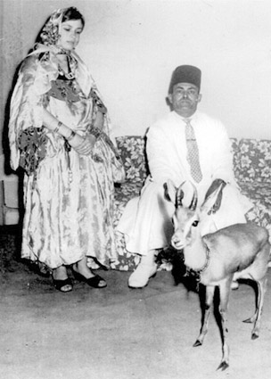 فيفيان (سامية).